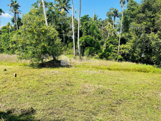 Residential Land available for Sale in Kottamkulangara Alappuzha
