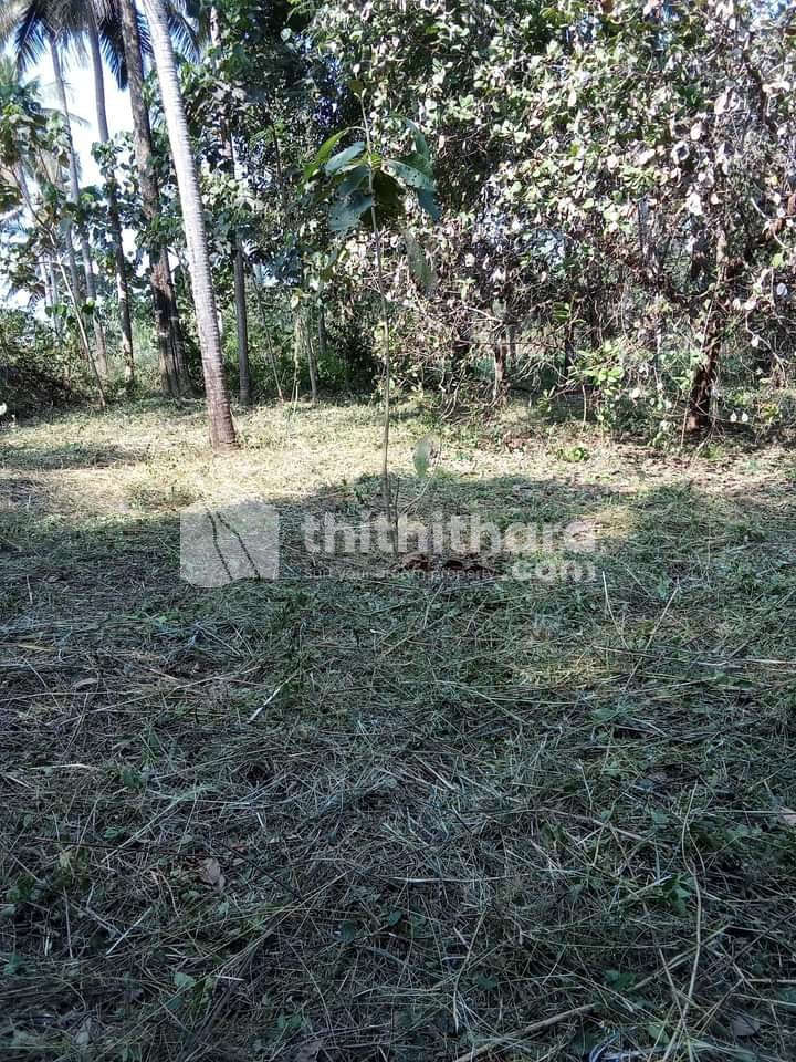 Commercial plot for sale at Uduma Kasargod 