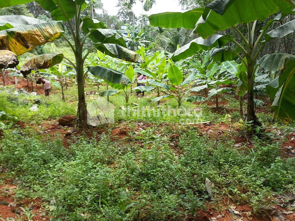 Residential Land available for Sale in Pala Kottayam