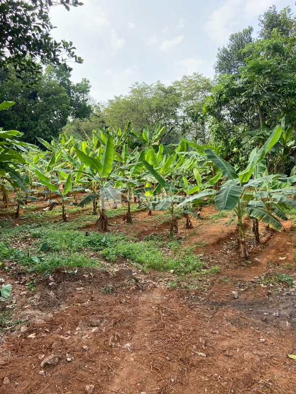 Residential Land available for Sale in  Angamaly Ernakulam