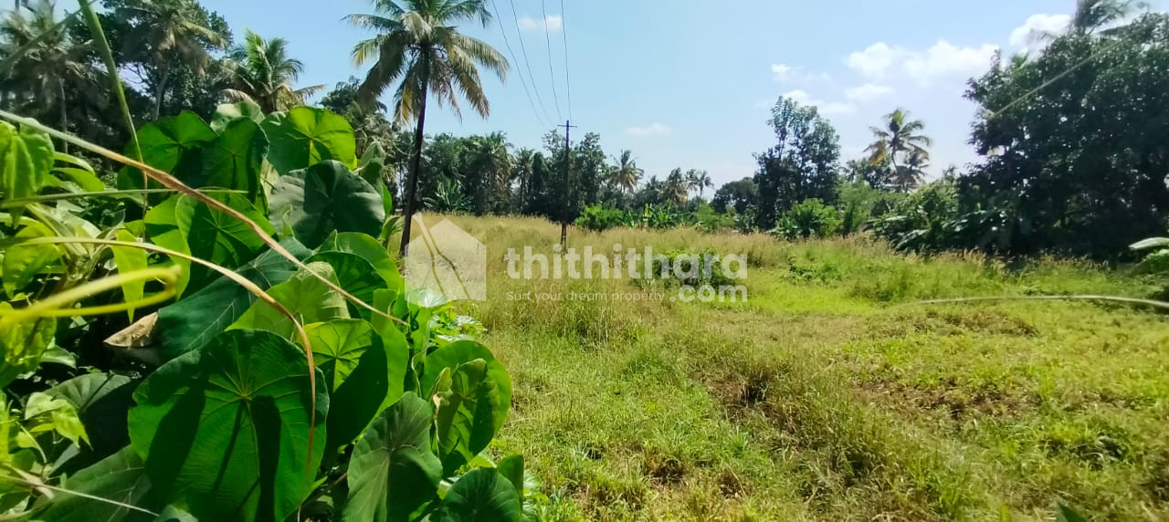 Commerical Land for sale in Viyyur Thrissur
