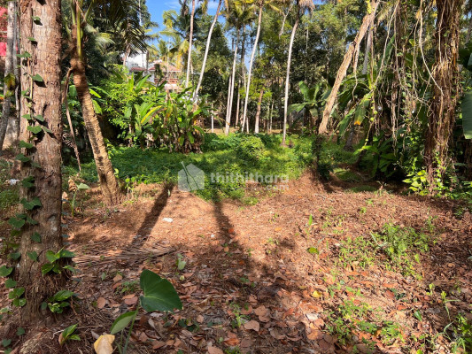 Residential Land for sale at Attingal Thiruvananthapuram 