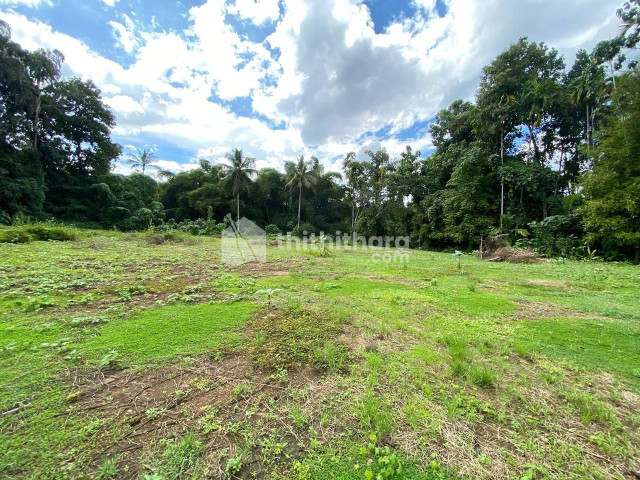Residential Land available for Sale in Kozhenchery Pathanamthitta