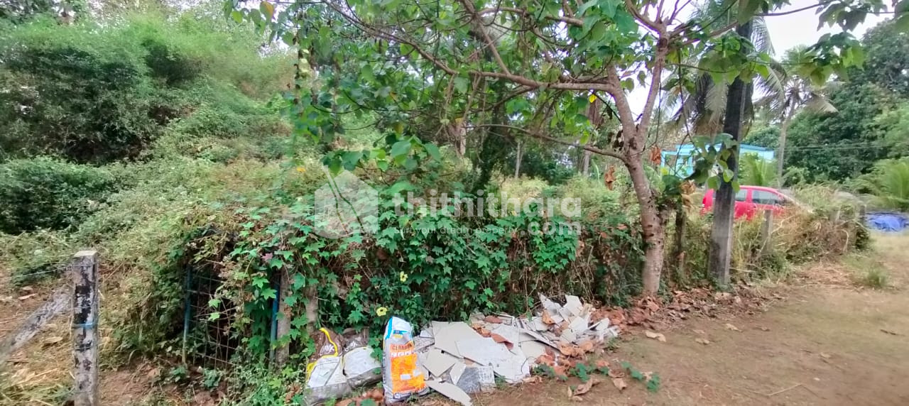 Residential land for sale near Poochinnipadam Thrissur