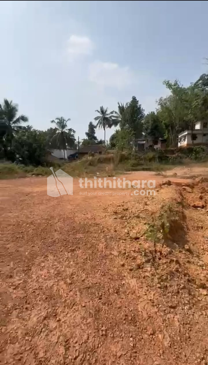 Commercial Plots available for Sale in Mannarkad, Palakkad