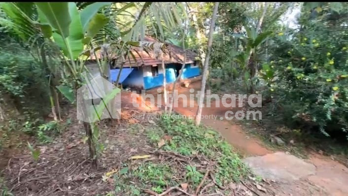 Residential Land available for Sale in Kuruvattoor Kozhikode