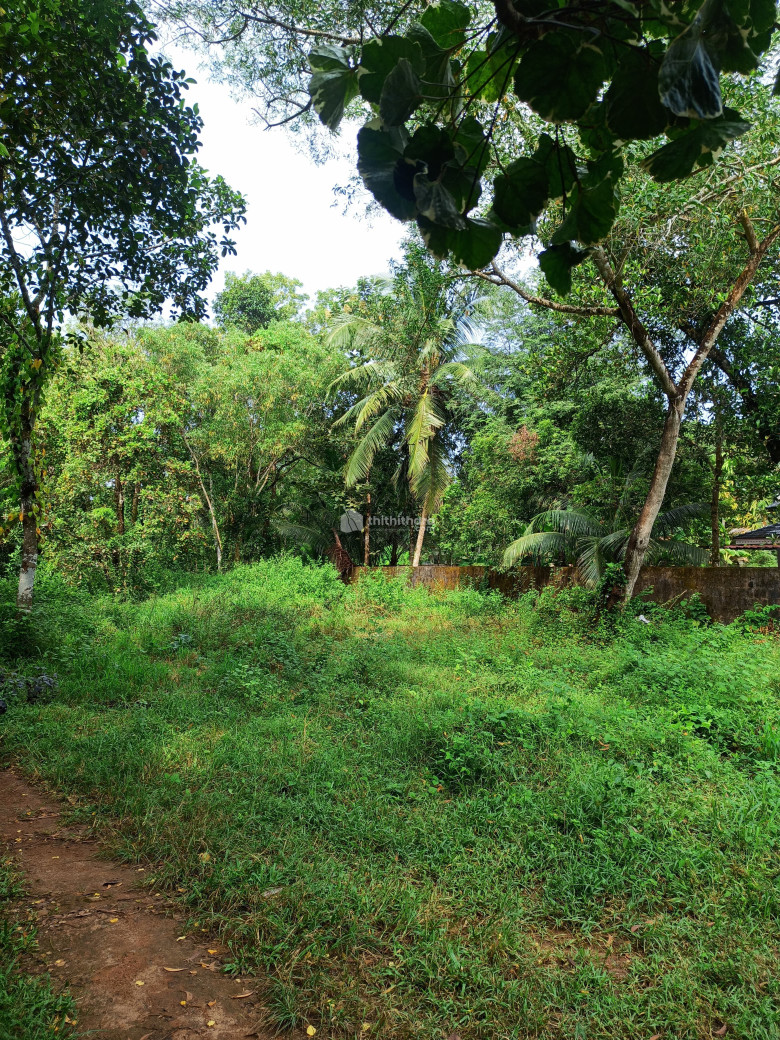 Residential Land available for Sale in Mararikulam Alappuzha
