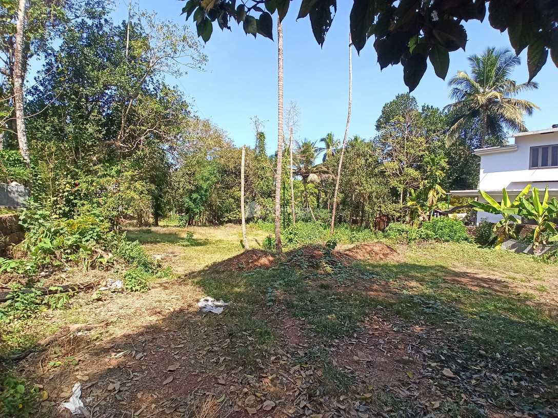 Commercial Plots available for Sale in Kuthuparamba, Kannur