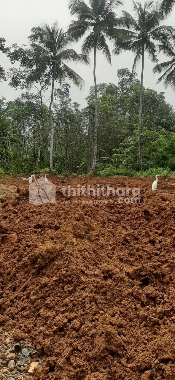 20 cent land for sale  at Nedumangad ,Thiruvananthapuram