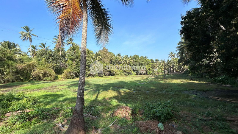 Commercial Plots available for Sale in Guruvayur Thrissur
