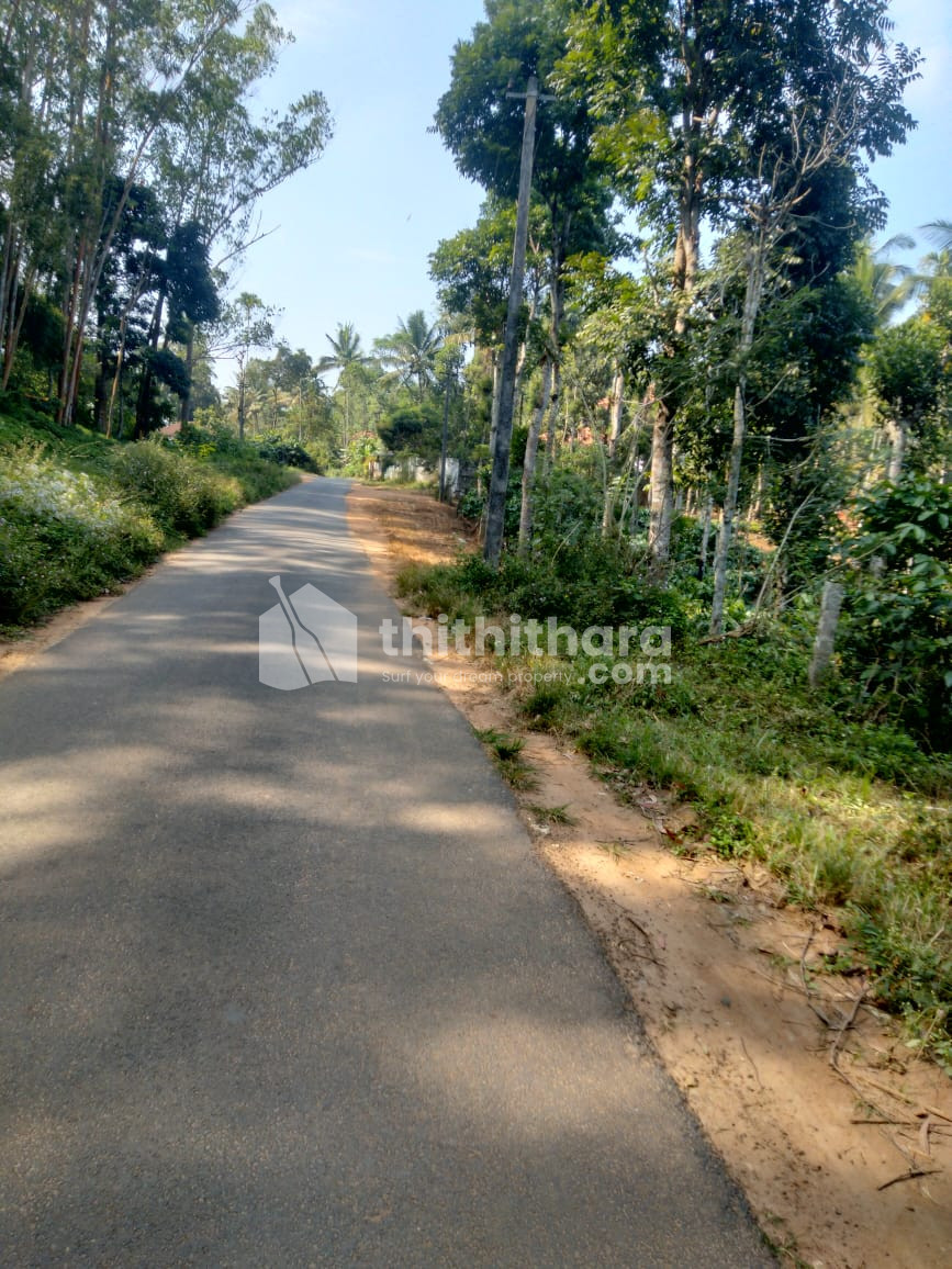 Commercial Plot for sale at Sulthanbathery Wayanad 