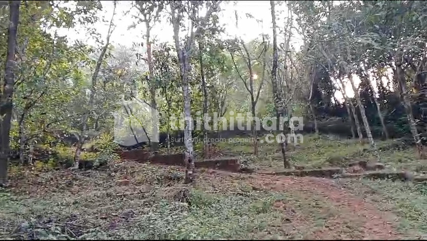 Residential Land for sale at Thrikaripur Kasaragod