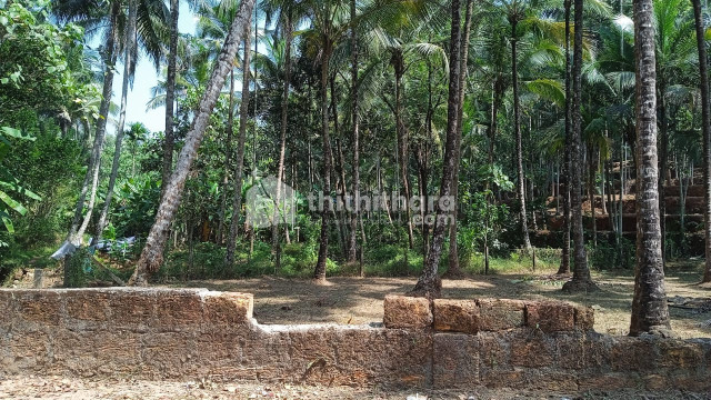 Commerical plots for sale in Balussery Kozhikode