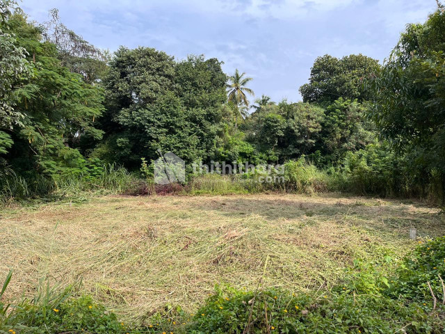 Commercial plot for sale at Karingarapulli Palakkad