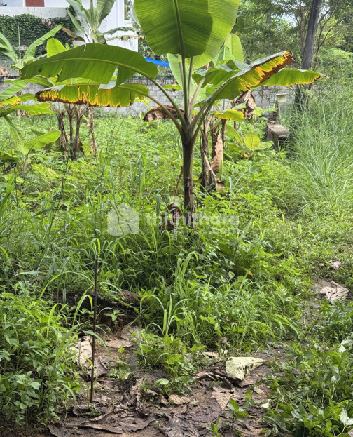Residential land for sale at Angamaly Ernakulam