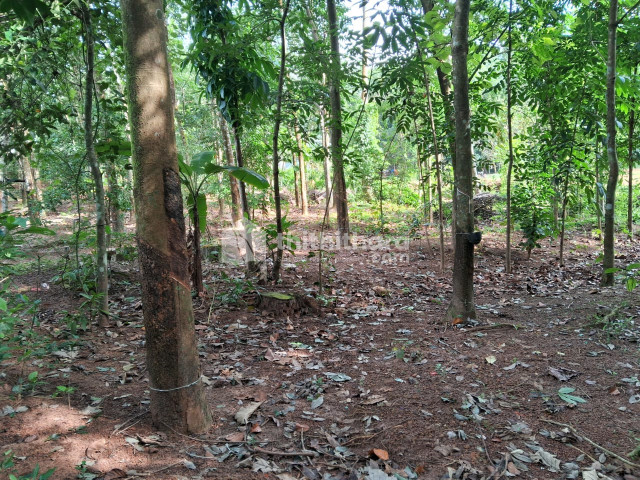 Residential Land for sale in Neyyattinkara Thiruvananthapuram