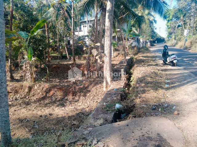 Commercial Plot for Sale in Kizhisseri, Alinchuvadu