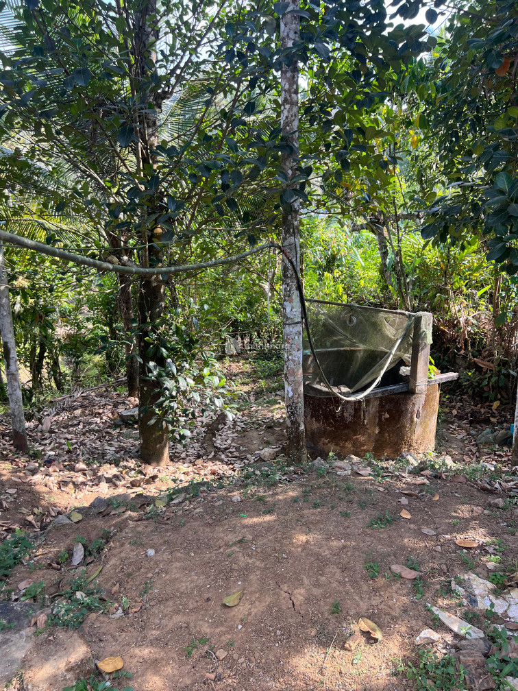 Residential Land for sale in Sultan Bathery Wayanad