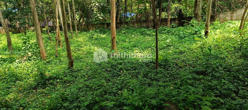 Residential Land for Sale In Pattambi palakkad 
