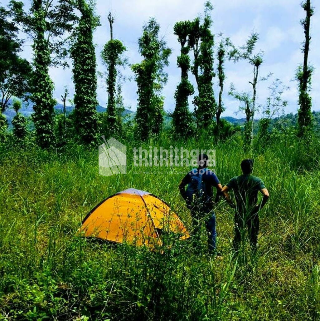 Commercial plot for sale at Meppadi Wayanad