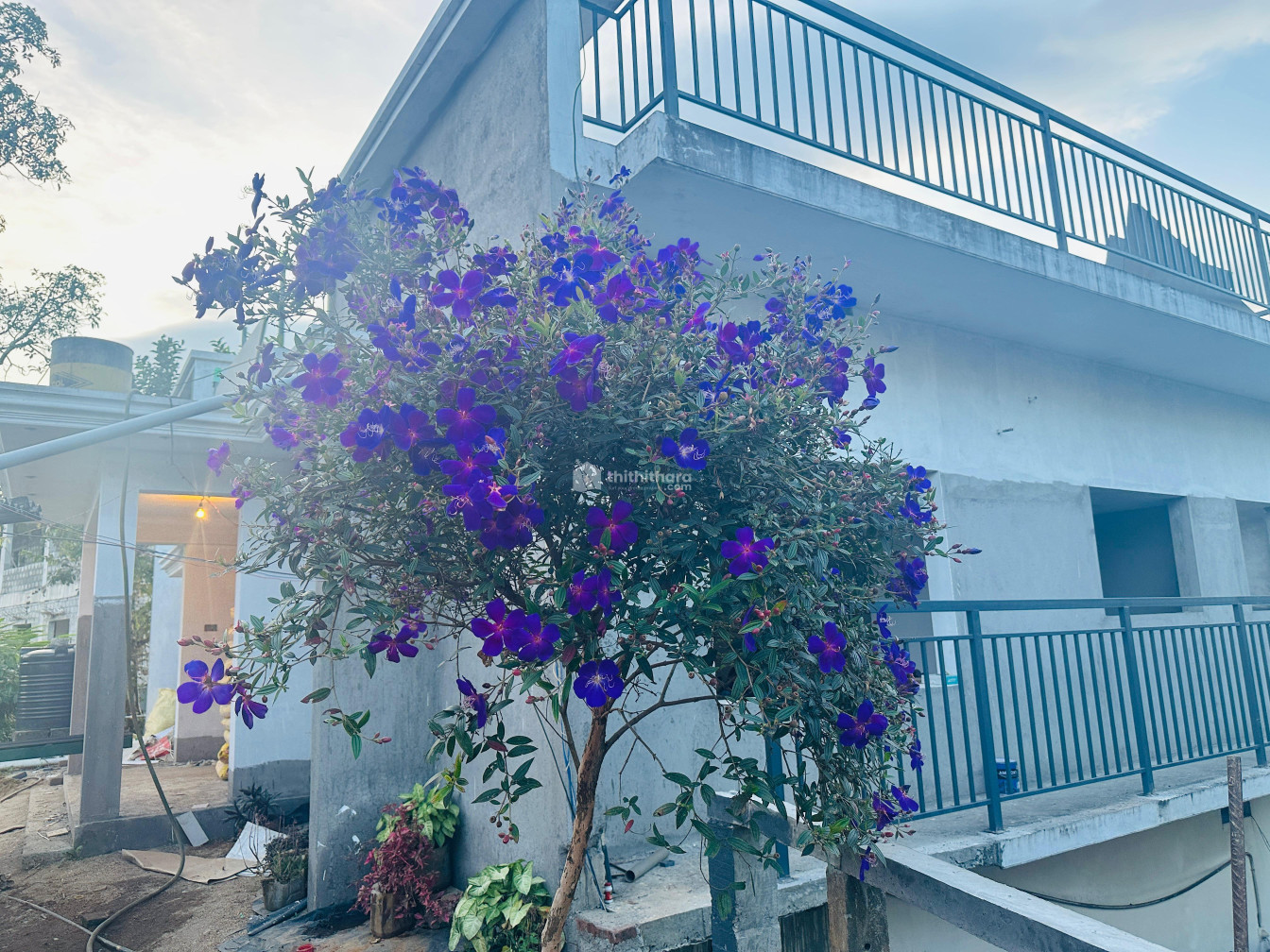 4 BHK Residential House available for Sale in Devikulam Idukki