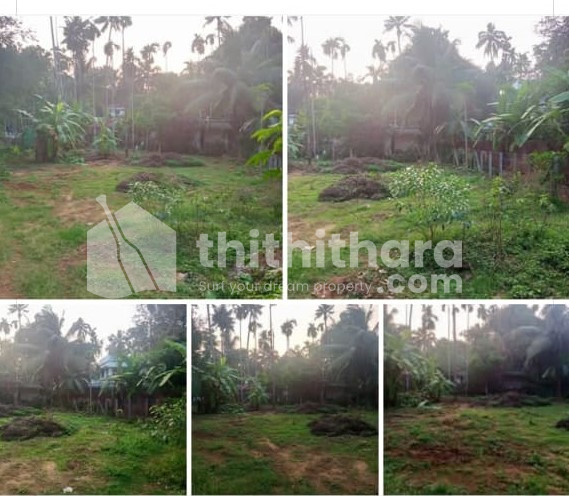 Residential plot available for sale at Moorkanad Thrissur