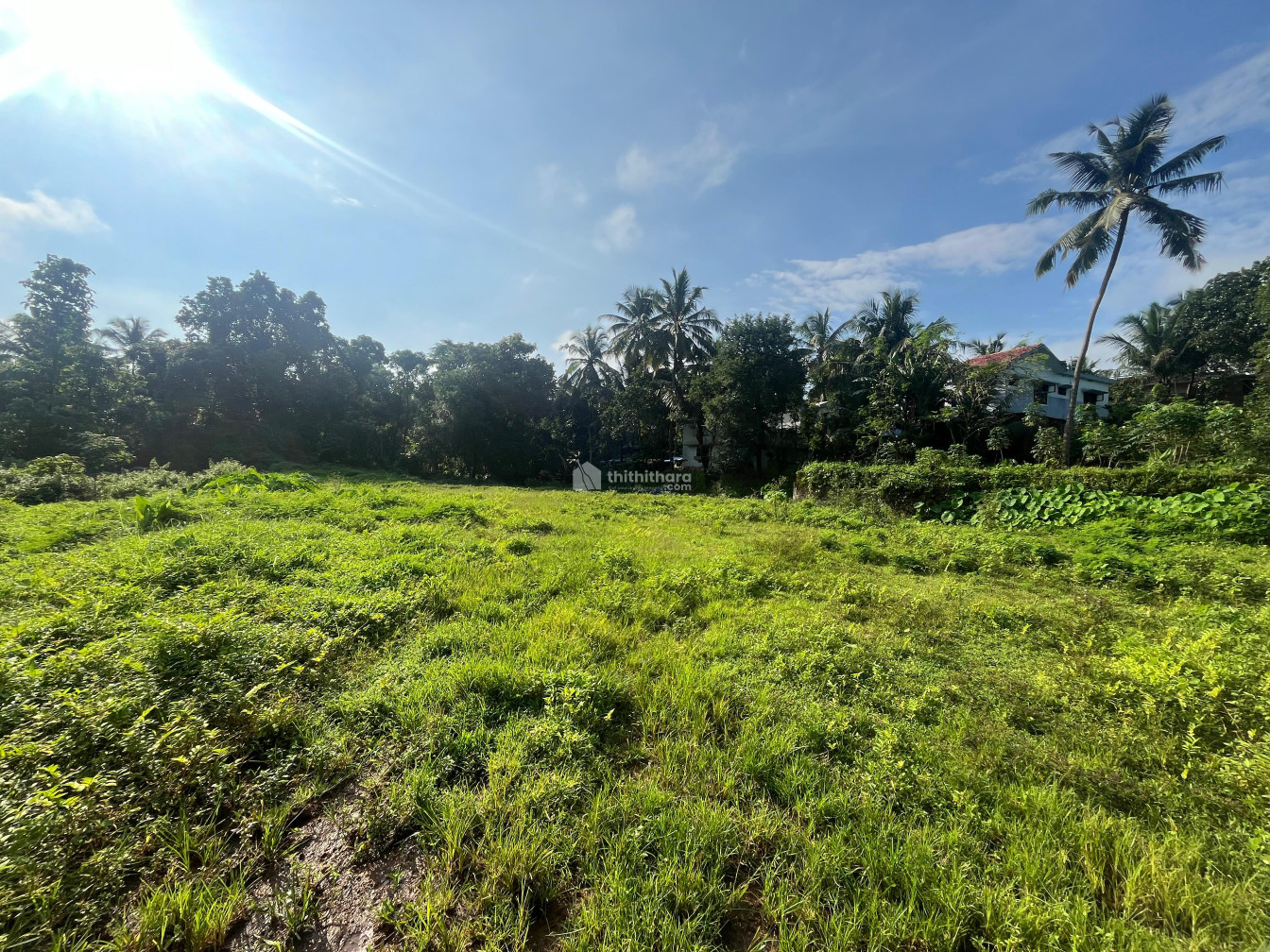 Residential Land available for Sale in Perinthalmanna Malappuram