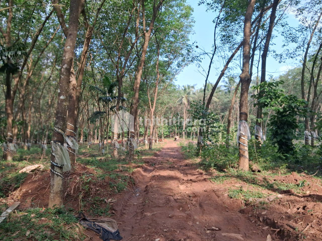 Residential land for sale at Kottarakothu Bridge Kozhikode