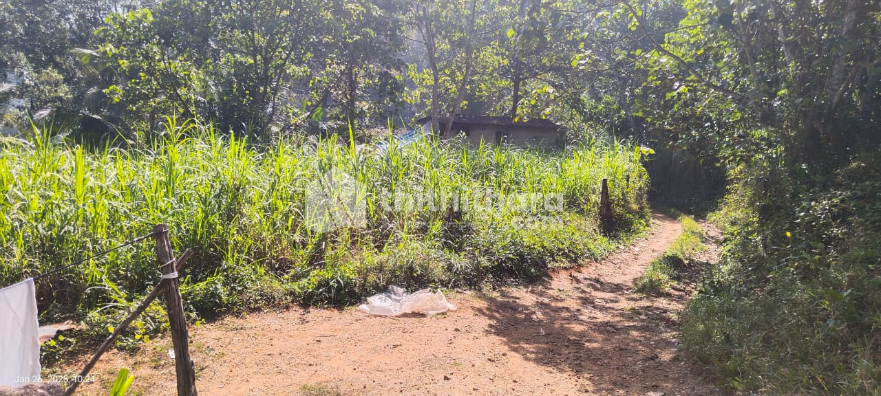 Residential Land for sale at Ayarkunnam Kottayam