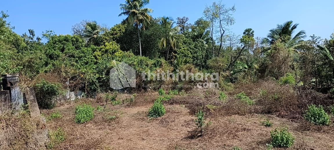 42 cent Land for sales at Nelliyampadam, Alathur