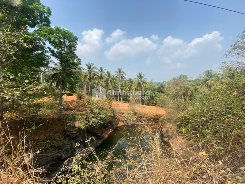 Residential Land available for Sale in Valanchery Malappuram
