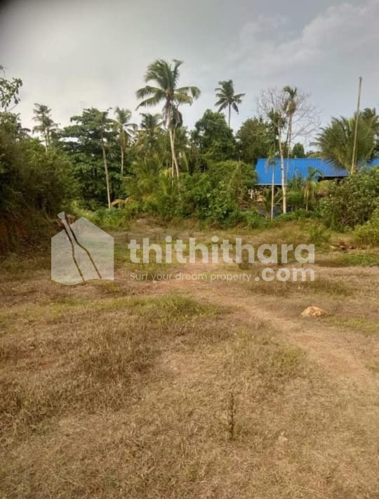 Residential Land for sale at Kodungallur Thrissur  
