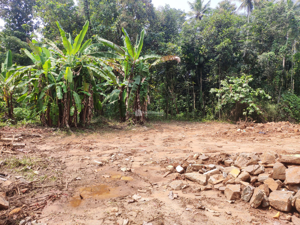 Residential Land available for Sale in Ranni Pathanamthitta