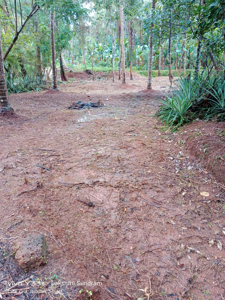 Residential Land for sale at  Nanminda Kozhikode
