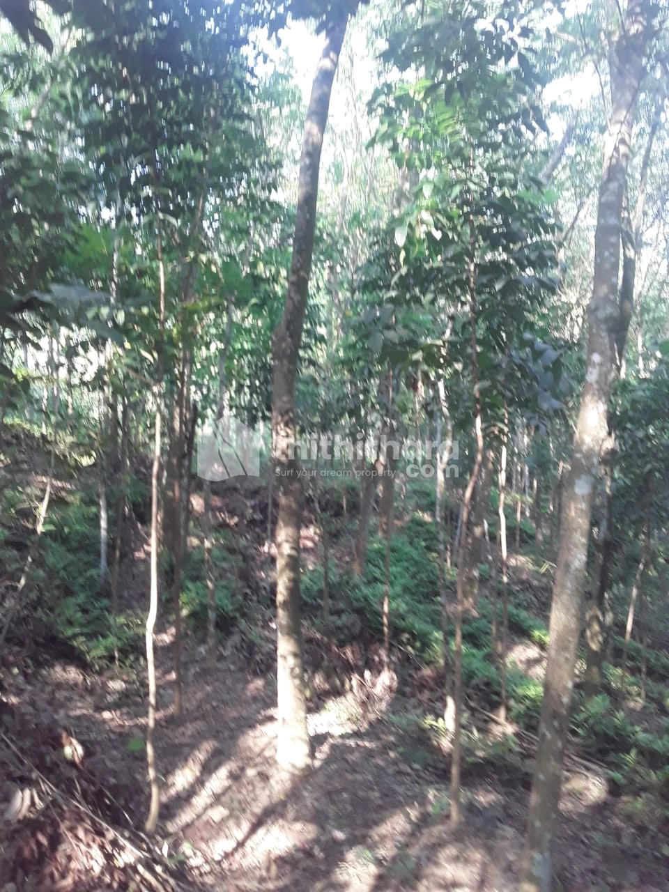 1 Acre land for sale at Kattakada ,Thiruvananthapuram