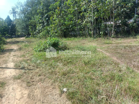 Residential land for sale at Nedumpana  Kollam