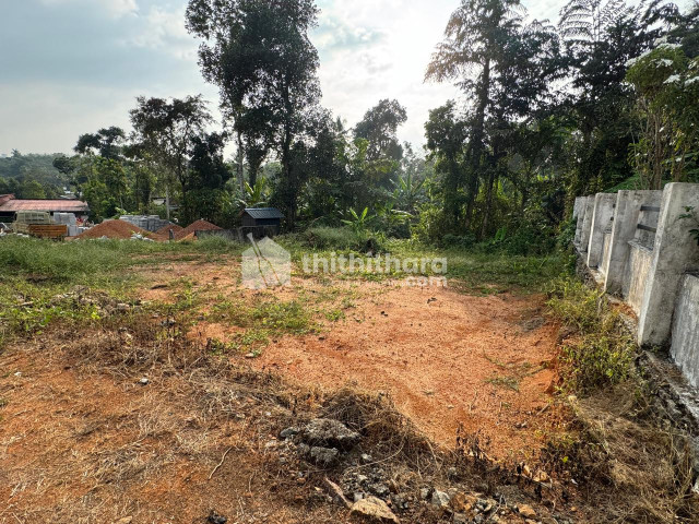 Residential land for sale at Njaliakuzhy Kottayam