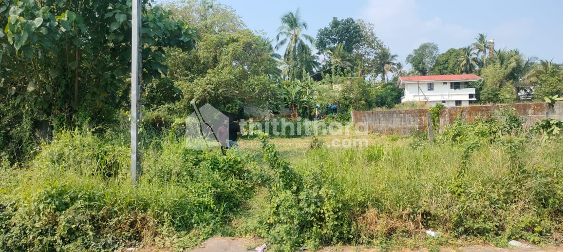 Commerical Land for sale in Kuttanellur Thrissur