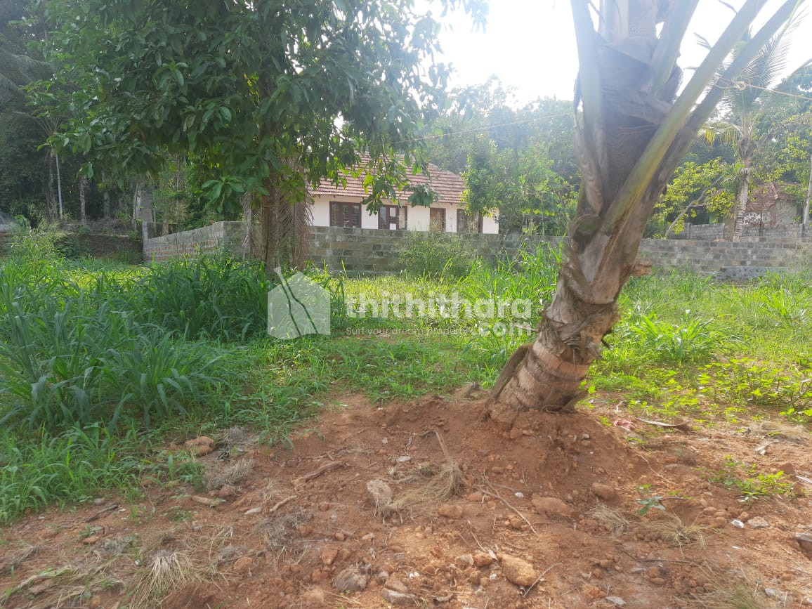 Residential land for sale at Kakkanad Ernakulam 