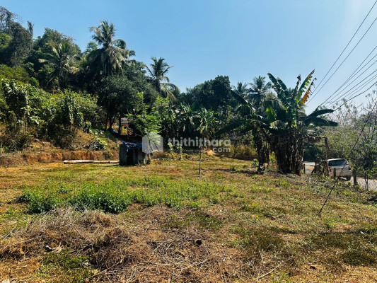 Commercial Plots available for Sale in Valancheri Malappuram