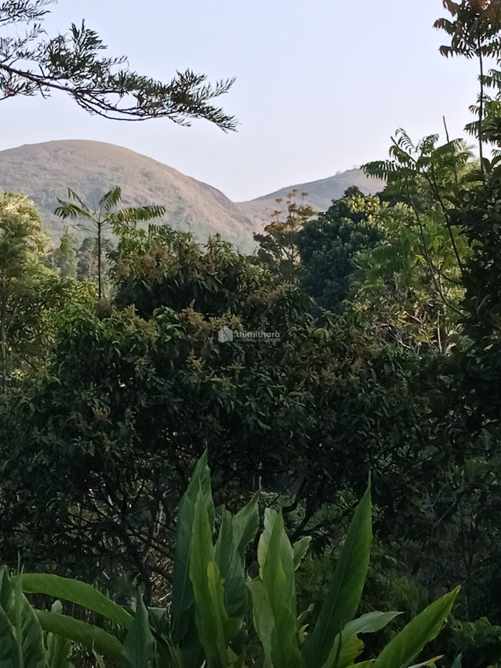 Residential Land for sale at Peerumade Idukki