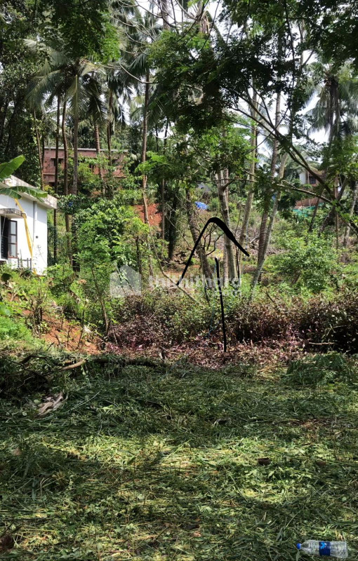 Residential Land available for Sale in Thayal naimaramoola Kasaragod