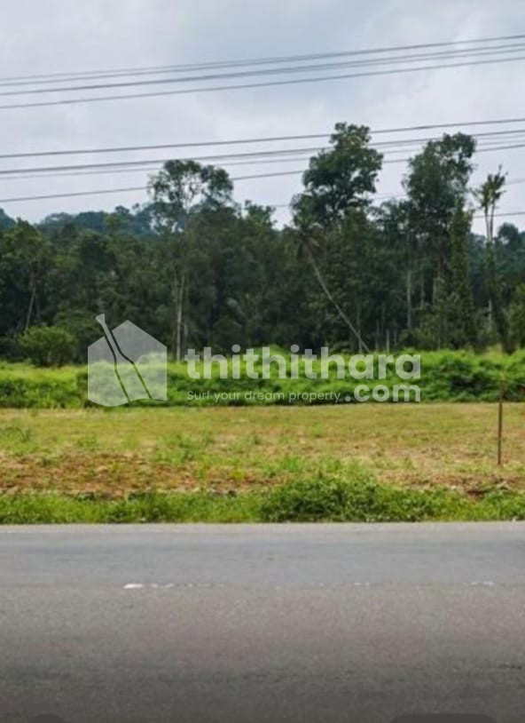 Residential Land available for Sale in  Meenachil Kottayam