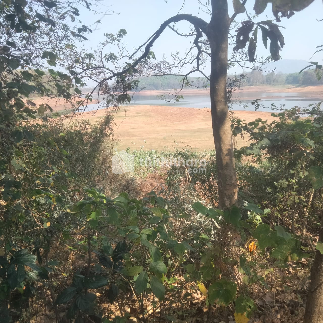Residential Land for sale at Alathur Palakkad 