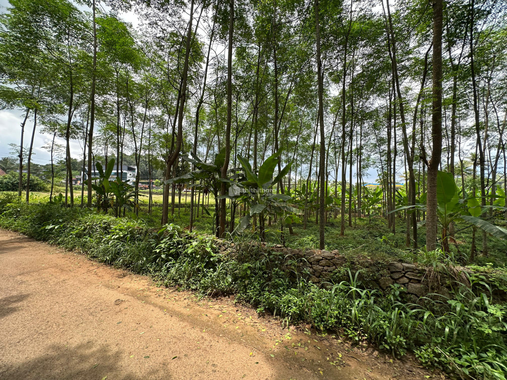 Commercial plot available for Sale in Thodupuzha Idukki