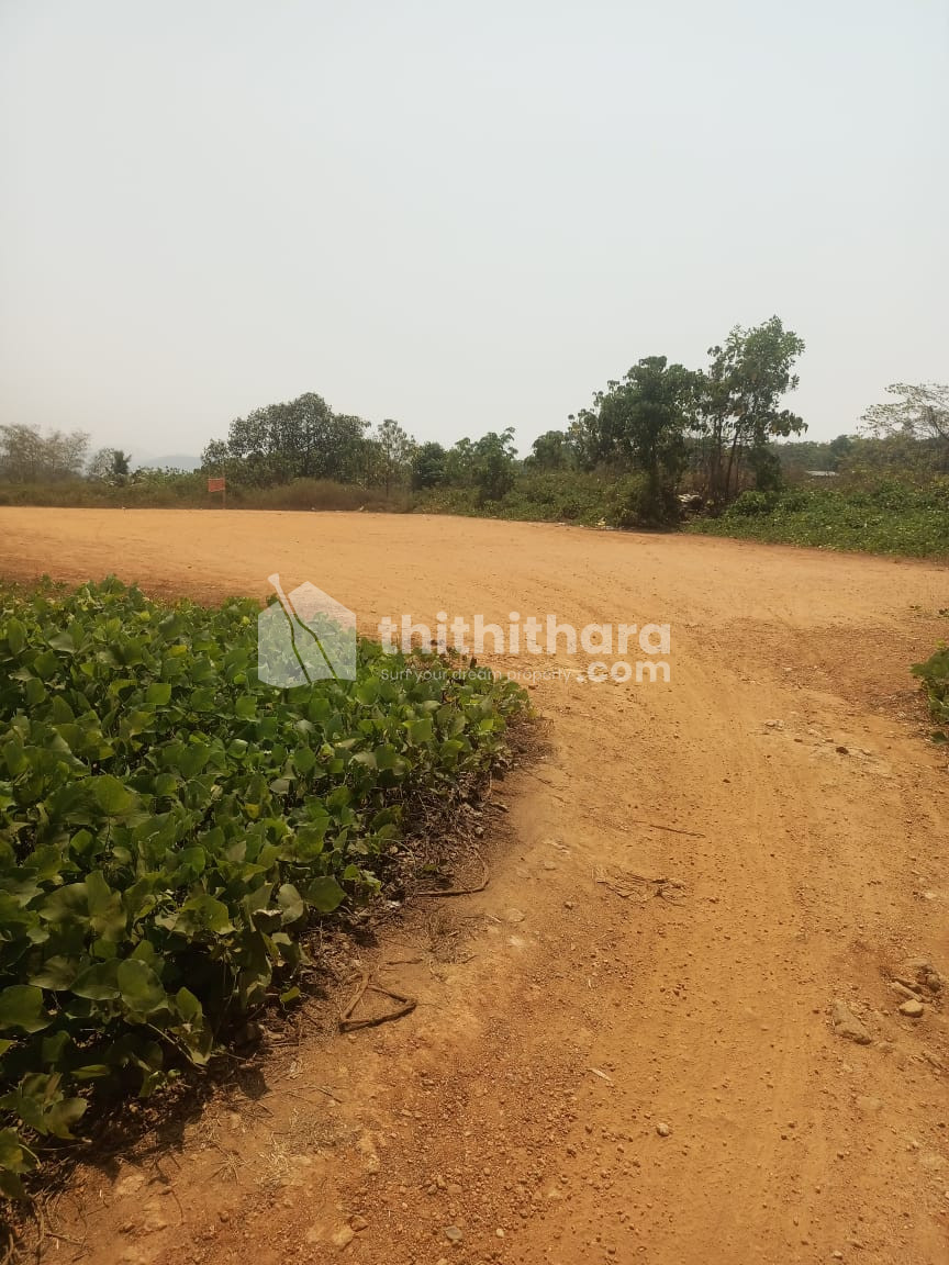 Residential Land available for Sale in Meenachil Kottayam