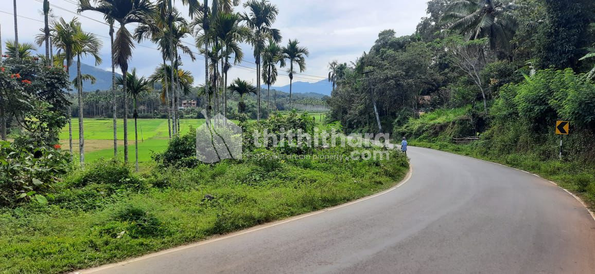 Residential Land for Sale in Panamaram Wayanad