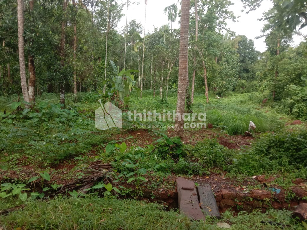 Residential Land For Sale In Thalavil Kannur