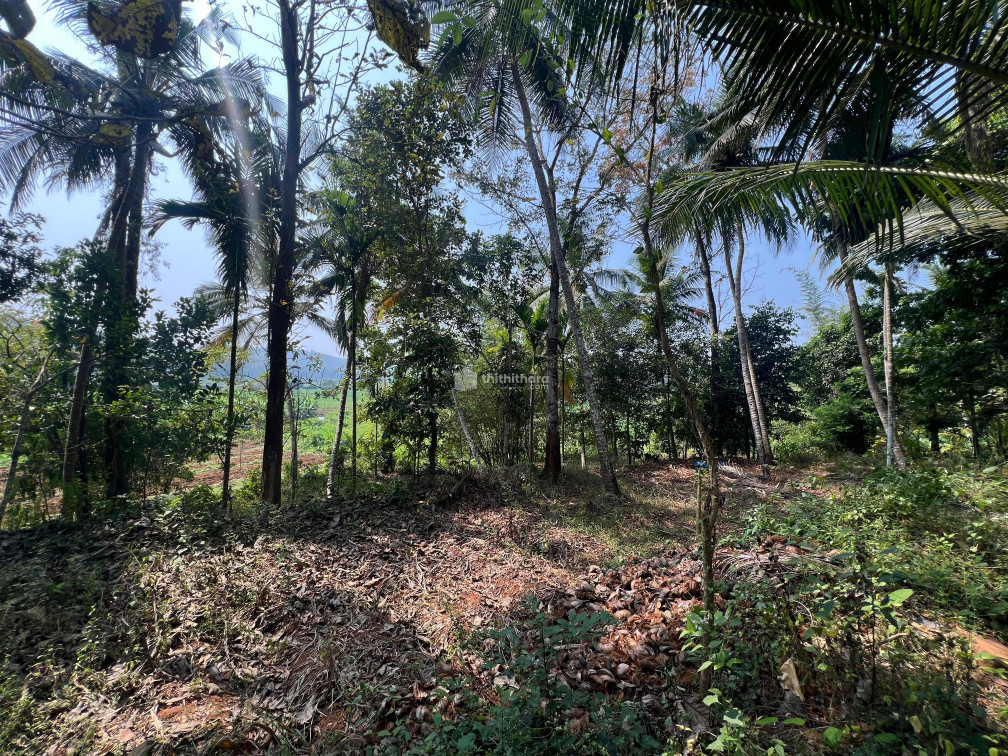 Residential Land available for Sale in Mavoor Kozhikode