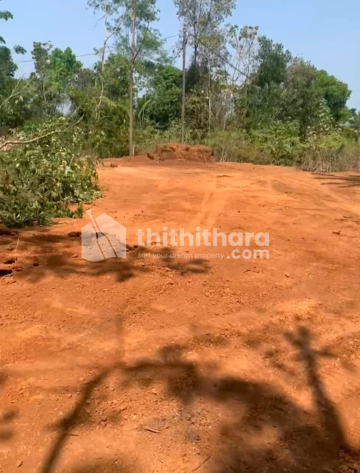 Residential Land available for Sale in Irikkur Kannur